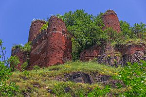 Archivo:Namerdgala fortress
