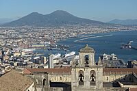 Archivo:Naples from the Castello Sant Elmo with Abbazia San Martino the port and the Vesuv
