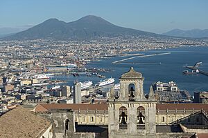 Archivo:Naples from the Castello Sant Elmo with Abbazia San Martino the port and the Vesuv
