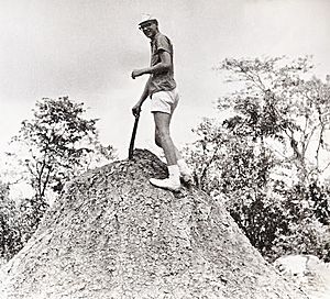 Archivo:On mud volcano. Trinidad