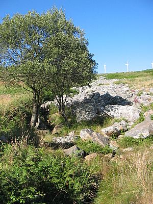 Archivo:Pedregal de Irimia - nacimiento del río Miño