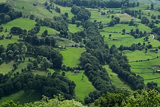 Pisueña. Valle del Pas. Cantabria.jpg