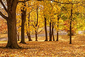 Archivo:Plaines d'Abraham, Quebec ville, Canada 4