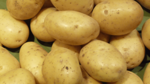 Archivo:Pommes de terre Monalisa