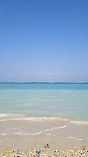 Archivo:Portsudan beach