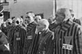 Prisoners in the concentration camp at Sachsenhausen, Germany, December 19, 1938. Heinrich Hoffman Collection. - NARA - 540177