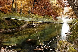 Puente sobre el Río Nonthué - Alberto Claveria (1).jpg