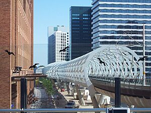 Archivo:RandstadRail Den Haag netkous