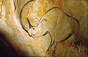 Archivo:Rhinocéros grotte Chauvet