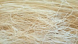 Rice vermicelli.jpg