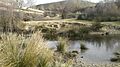 Rio Torote