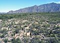Ruinas de Tolombon