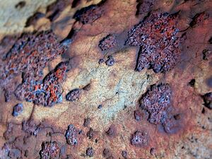 Archivo:Rust-flake-macro