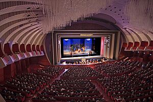 Archivo:Teatro Regio - sala 2005b