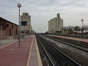 Archivo:Torrijos station 2011