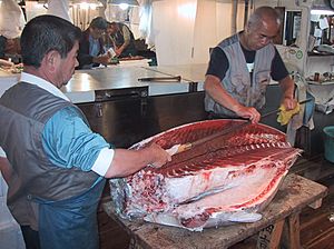 Archivo:Tsukiji fish market thuna knife