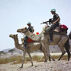 Archivo:UN Soldiers in Eritrea