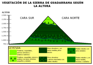 Archivo:Vegetación de Guadarrama