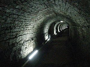 Archivo:Victoria Tunnel (Newcastle) near Ouse Street 2010-02-19