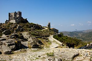 Vista del Castillo de Trevejo.jpg