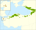 Abies nordmanniana range