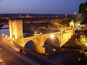 Archivo:Alcantara bridge in the night