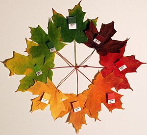 Archivo:Autumn leaves (pantone) crop