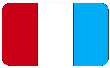 Bandera Salinas Huito