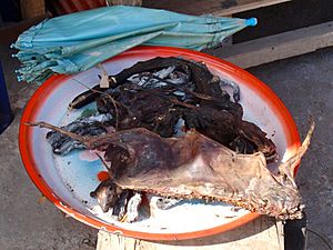 Archivo:Barbecued Bat at Udomxai Bus Station in Laos