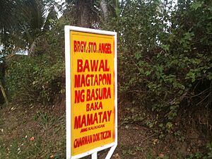 Archivo:Brgy. Santo Angel No Dumping Sign