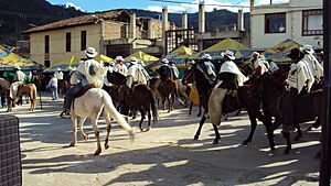 Archivo:Cabalgata sativasur