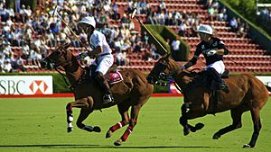 Archivo:Campeonato Argentino de Polo 2010 - 5237109478 e7ed034169 o