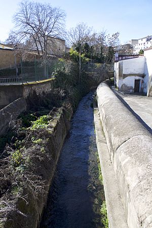 Archivo:Canal de Fuente Concejo Cáceres