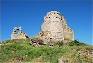 Archivo:Castillo de Enciso - DSC 3550