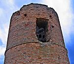 Castillo de Foncastin.jpg