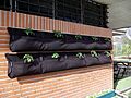 Centro de Educación Ambiental de El Retiro, huerto vertical, Madrid, 2015
