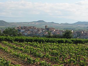 Archivo:Entrena (La Rioja)