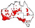 Exocarpos sparteus DistMap11
