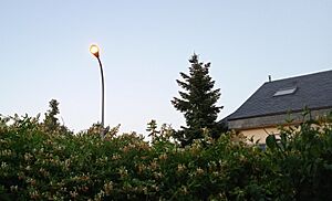 Archivo:Farola Girada