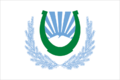 Flag of Nalchik (Kabardino-Balkaria)
