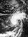 Florence 1977