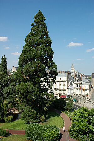 Archivo:France Loir-et-Cher Blois Square Victor Hugo 01