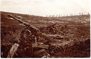 Archivo:Frech long gun battery overrun at Verdun (alternate view)