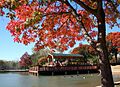 Hafer Park Pond