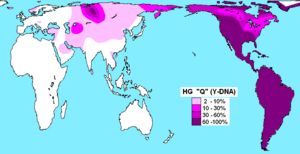 Archivo:Haplogroup Q (Y-DNA)