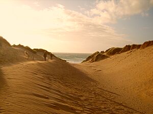 Archivo:Holywell Bay Dunes - panoramio