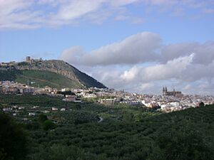 Archivo:Jaén desde el camino de Pedro Codes