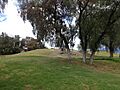 Montículo en los Melones, Texcoco, Estado de México