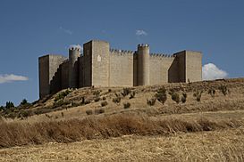 Montealegre de Campos, castillo PM 17738.jpg