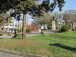 Monumento Artigas - Plaza Constitución - Melo - Vista de monumento y plaza.JPG